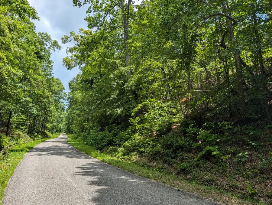 0 Old Penny Rd, Linden, TN 37096 - #2