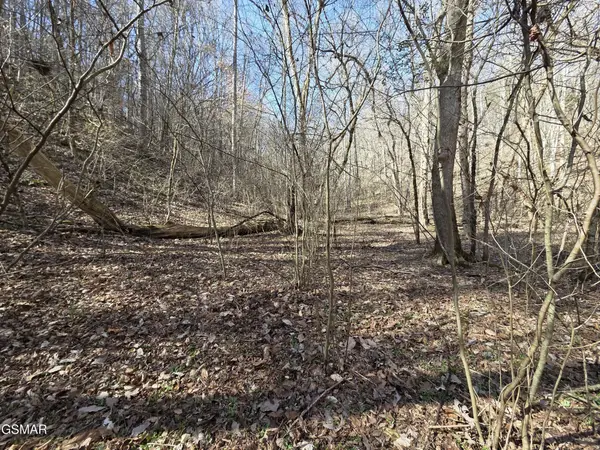 0 Baysinger Road, Newport, TN 37821