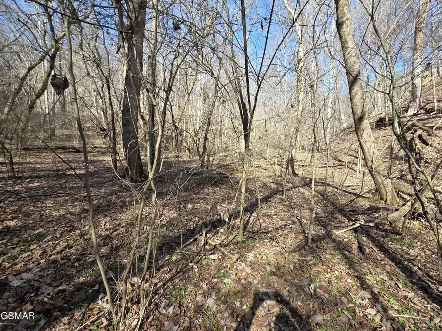 0 Baysinger Road, Newport, TN 37821 - #3