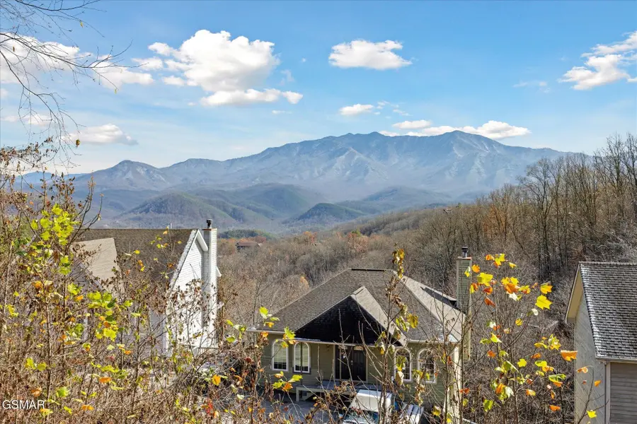 909 Black Wolf Way, Gatlinburg, TN 37738 - #3