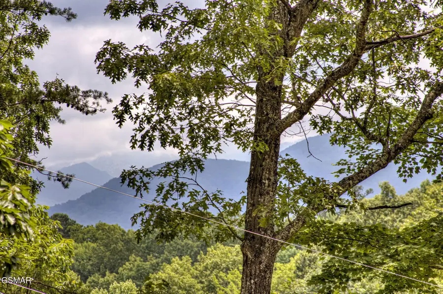 1125 Tanrac Trail, Gatlinburg, TN 37738 - #2