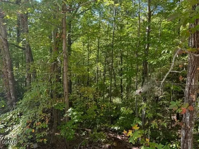 17 Deer Path Lane, Gatlinburg, TN 37738 - #2