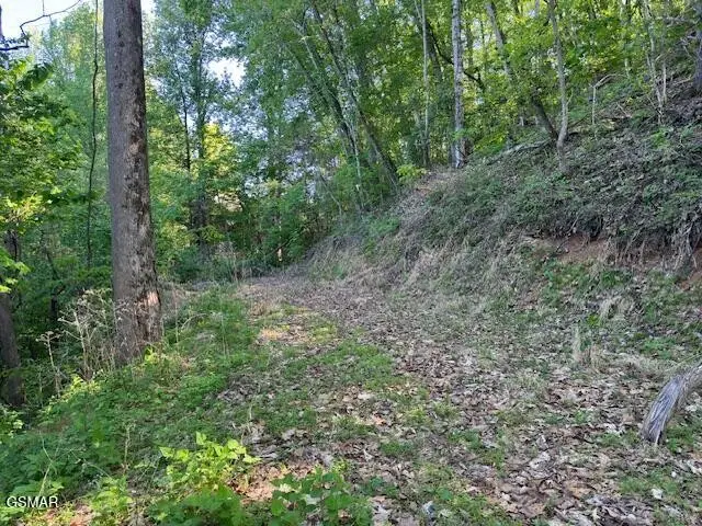 13 Dove View Road, Sevierville, TN 37862 - #1