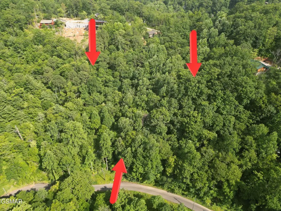 4321 Manis Hollow Road, Gatlinburg, TN 37738 - #3