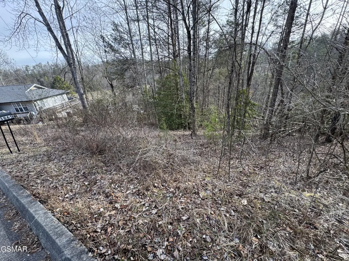 11 Katelyns Lane, Sevierville, TN 37876 - #1