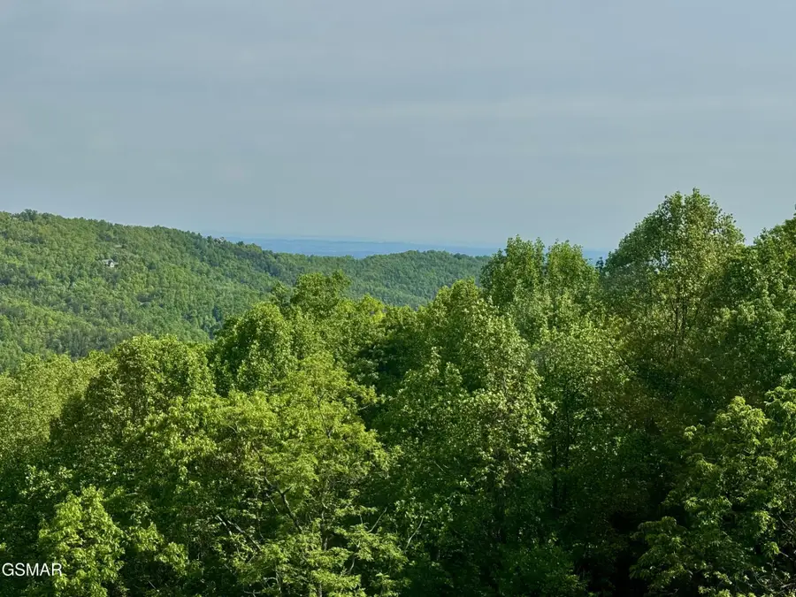 1102 Ski View Drive #306, Gatlinburg, TN 37738 - #3