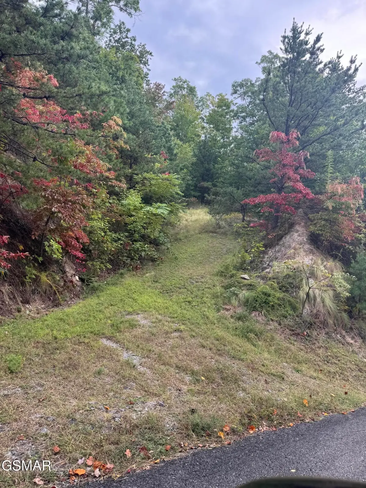 49 Enclave Park Way, Sevierville, TN 37862 - #1