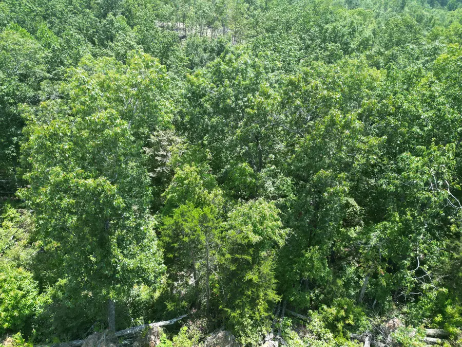 0 Petty Drive, Linden, TN 37096 - #3