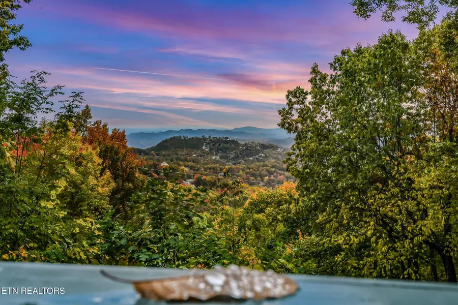1819 W Arolla Ct. Court, Gatlinburg, TN 37738 - #2