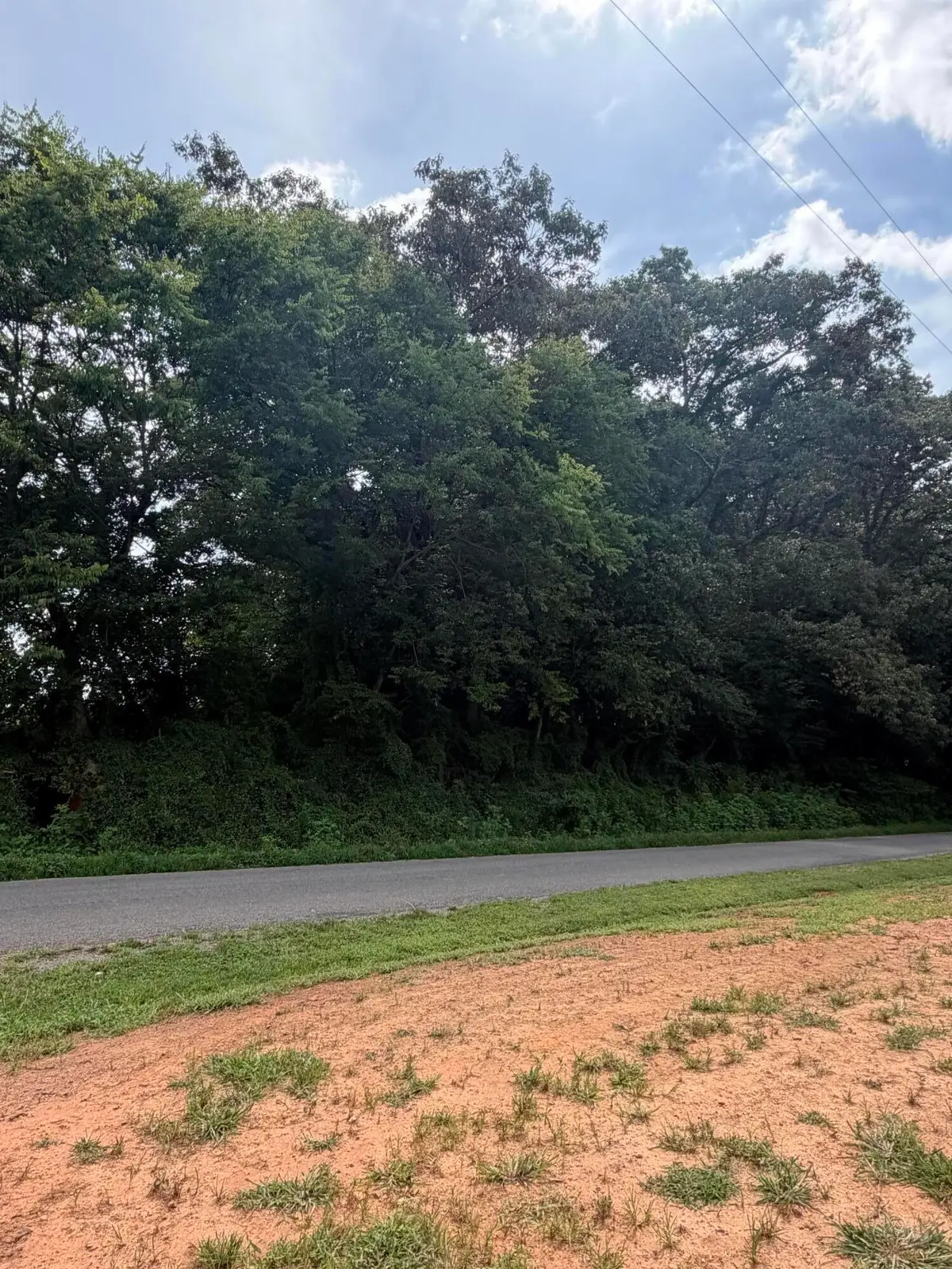 143 Randolph Fridley Road, Sweetwater, TN 37874 - #1
