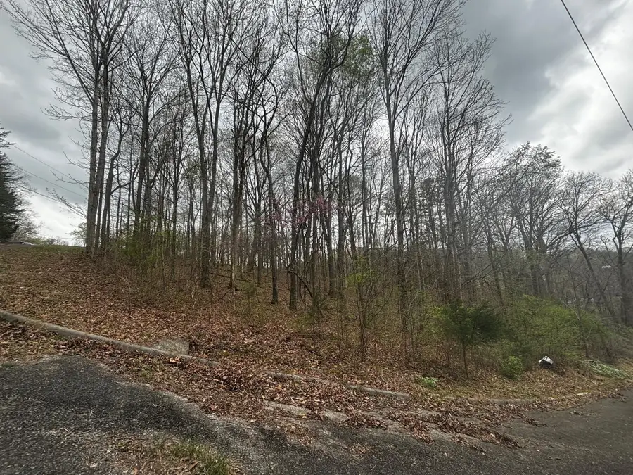 0 County Road 197, Athens, TN 37303 - #3
