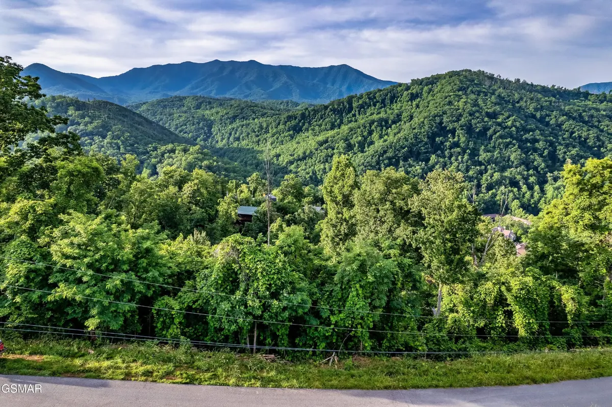 2 Ellis Ogle Road, Gatlinburg, TN 37738 - #1