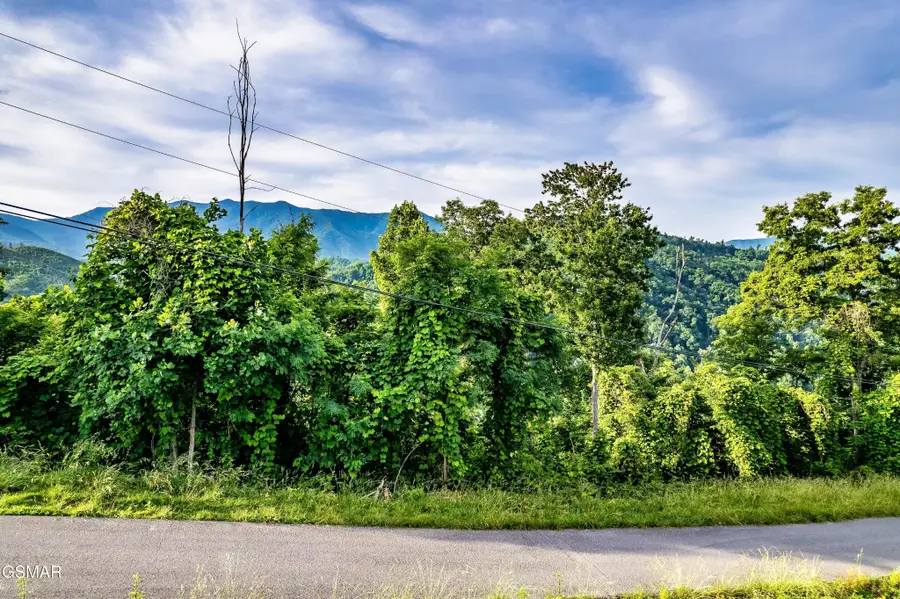 2 Ellis Ogle Road, Gatlinburg, TN 37738 - #2