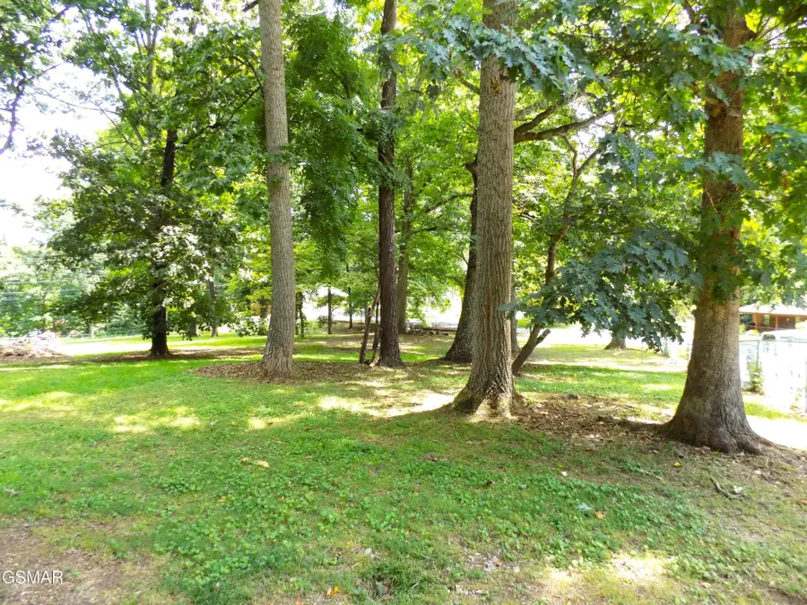 985 Ronald Drive, Talbott, TN 37877 - #2