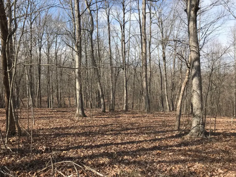 504 Wilderness Way, Dunlap, TN 37327 - #2