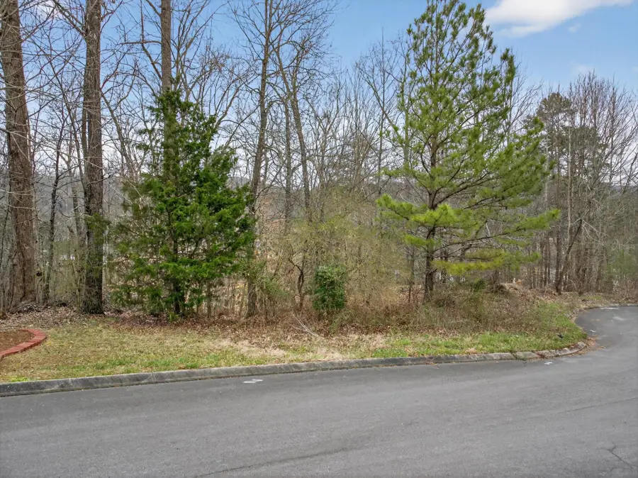 0 Turkey Trot Drive, Rocky Face, GA 30740 - #3