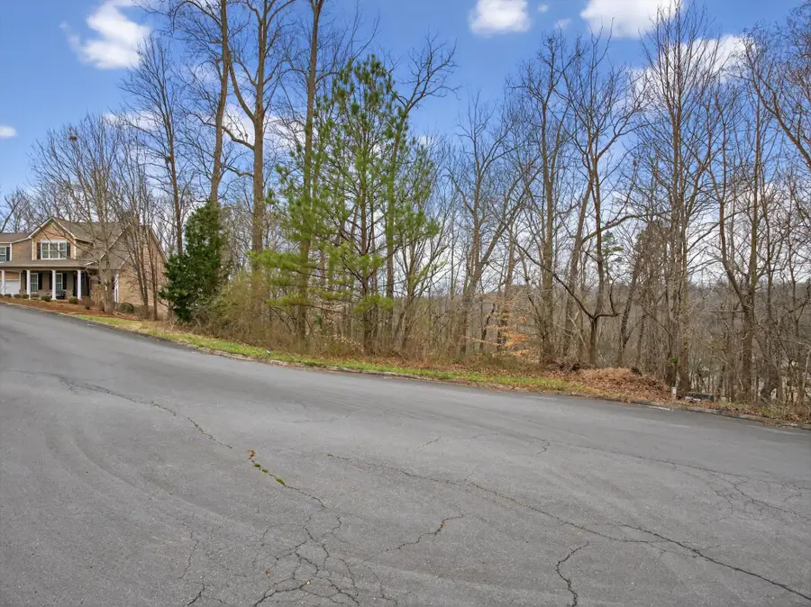 0 Turkey Trot Drive, Rocky Face, GA 30740 - #2