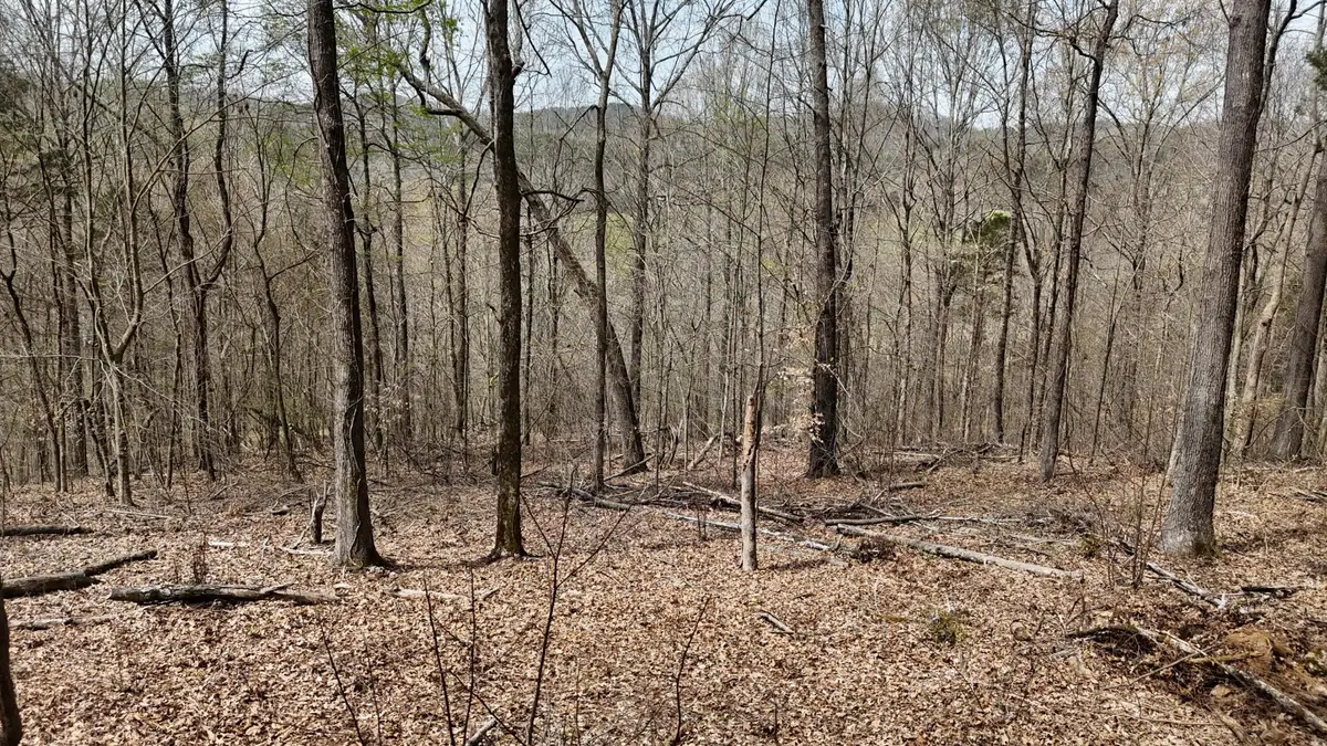 0 Geren Subdivision Lane, Decatur, TN 37322 - #1