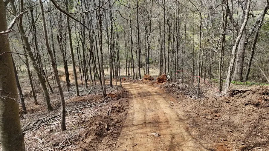 0 Geren Subdivision Lane, Decatur, TN 37322 - #3