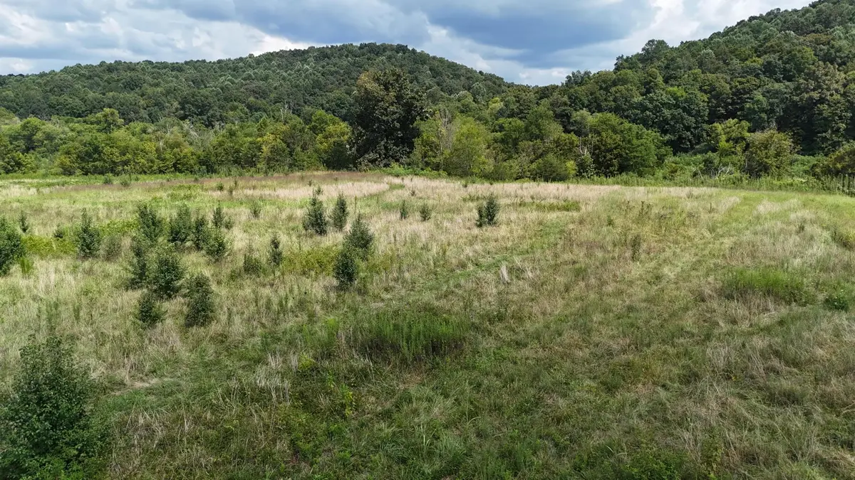 0 County Road 60, Riceville, TN 37370 - #1