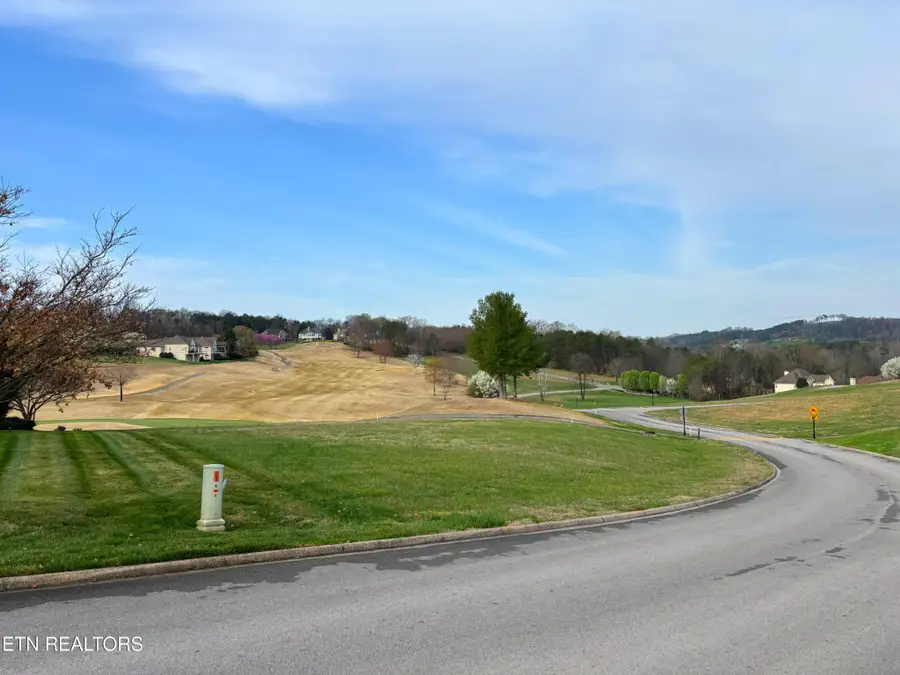415 Wood Duck Drive, Vonore, TN 37885 - #3