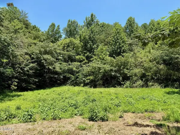 0 Ogle Drive, Pigeon Forge, TN 37863