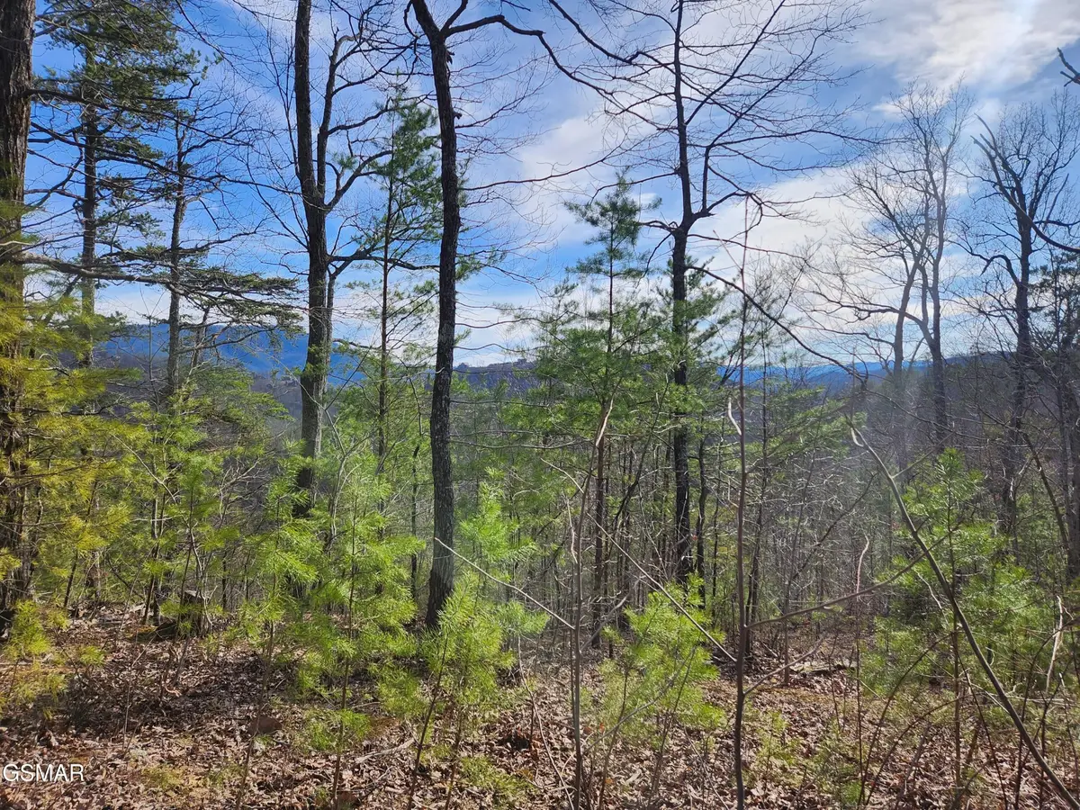 46 Feld Wynde Close Way, Sevierville, TN 37862 - #1