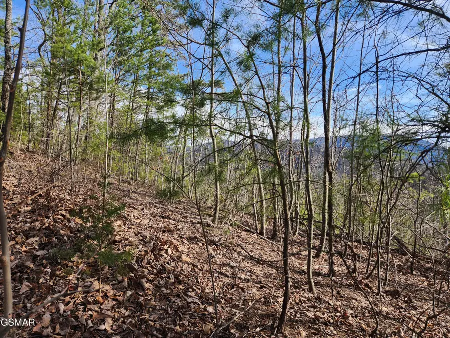 46 Feld Wynde Close Way, Sevierville, TN 37862 - #2