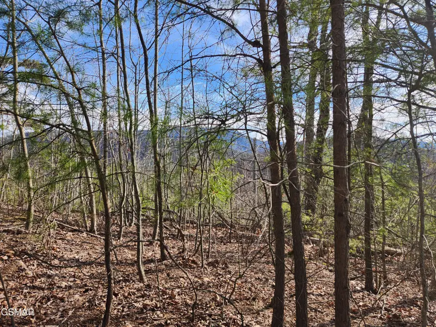 46 Feld Wynde Close Way, Sevierville, TN 37862 - #3