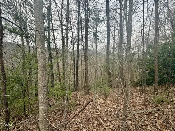 6 Thissa Way, Gatlinburg, TN 37738
