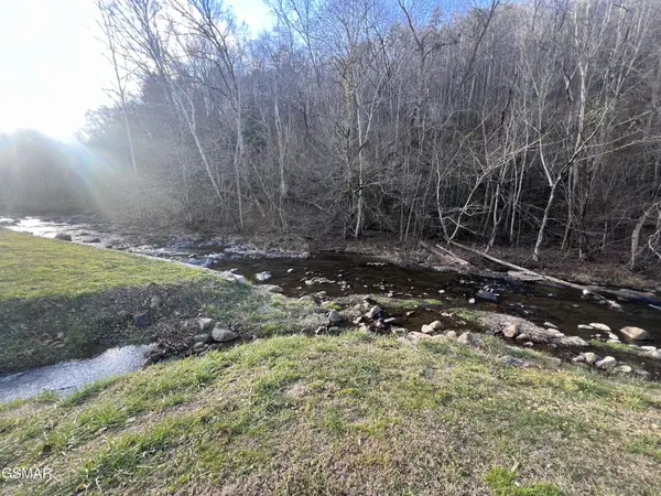 0 Blue Mill Road, Del Rio, TN 37727