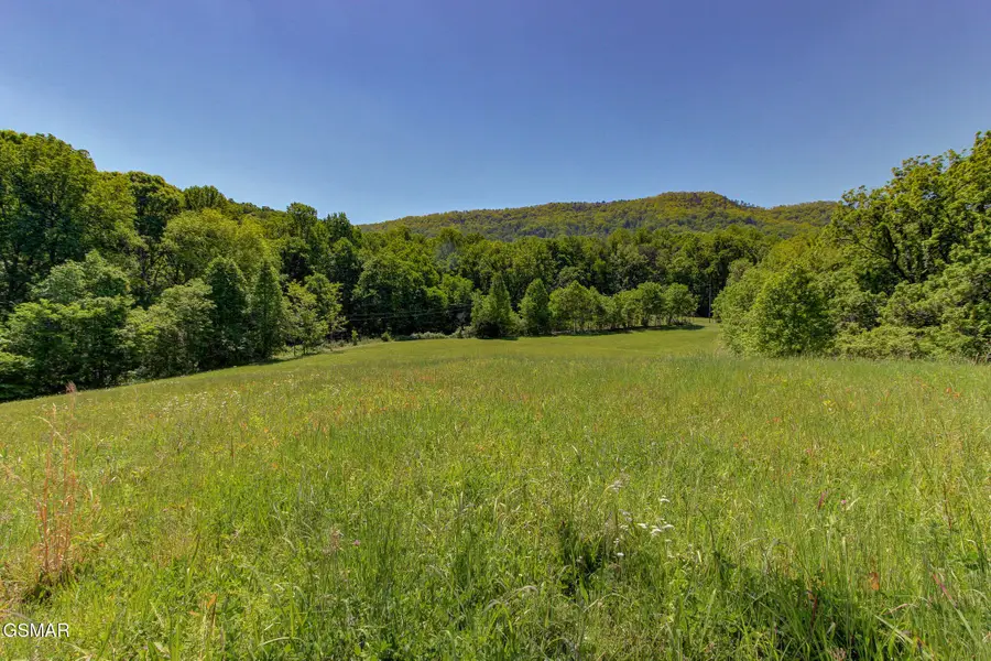 16 Thomas Cross Rd, Sevierville, TN 37876 - #2