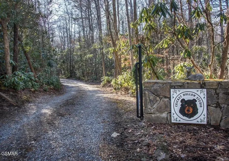 125 Cricket Hollow Way, Cosby, TN 37722 - #3