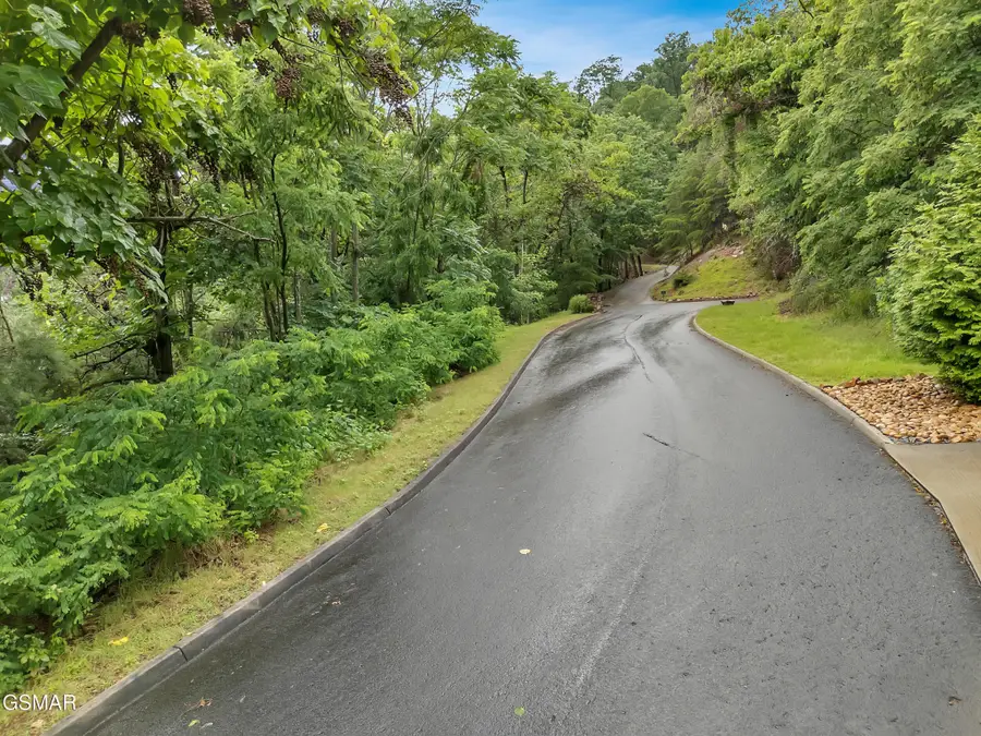 9097 Paradise View Drive, Mooresburg, TN 37811 - #3