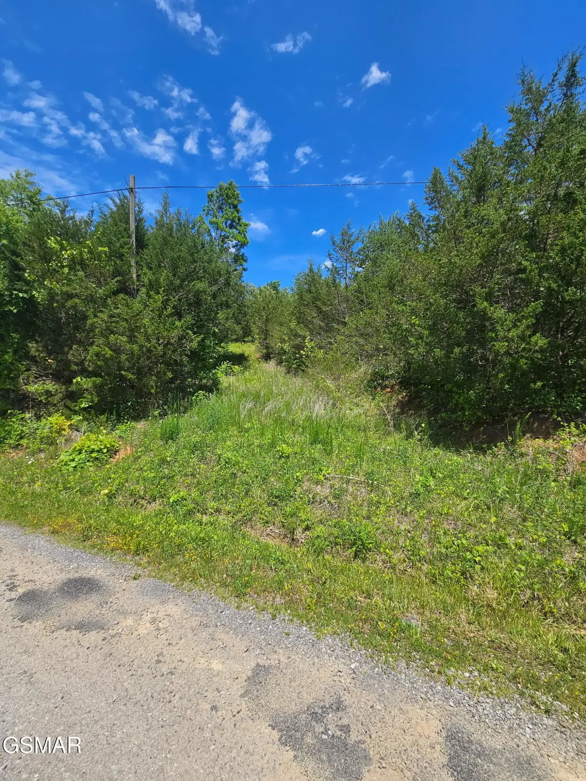 335 Oakwood Road, Midway, TN 37809 - #1