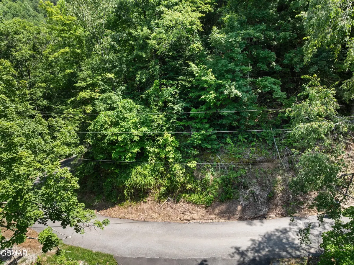 6 Wildcat Ridge Road, Sevierville, TN 37862 - #1