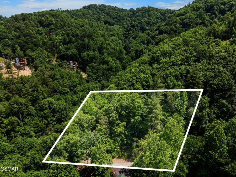 6 Wildcat Ridge Road, Sevierville, TN 37862 - #3