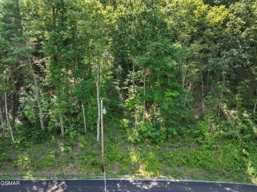 8 Emerald Springs Loop, Sevierville, TN 37862 - #2