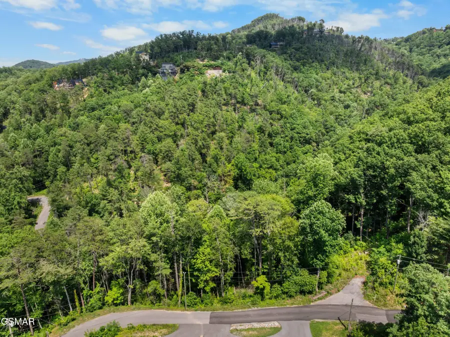 3278 Emerald Springs Loop, Sevierville, TN 37862 - #2