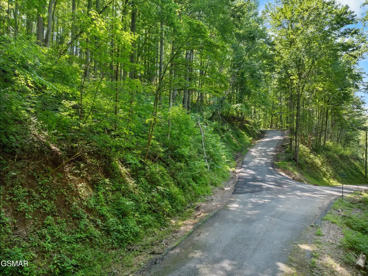 15 Emerald Springs Loop, Sevierville, TN 37862 - #1