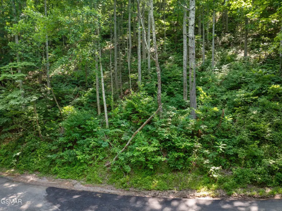 15 Emerald Springs Loop, Sevierville, TN 37862 - #2