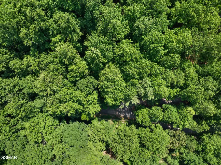15 Emerald Springs Loop, Sevierville, TN 37862 - #3