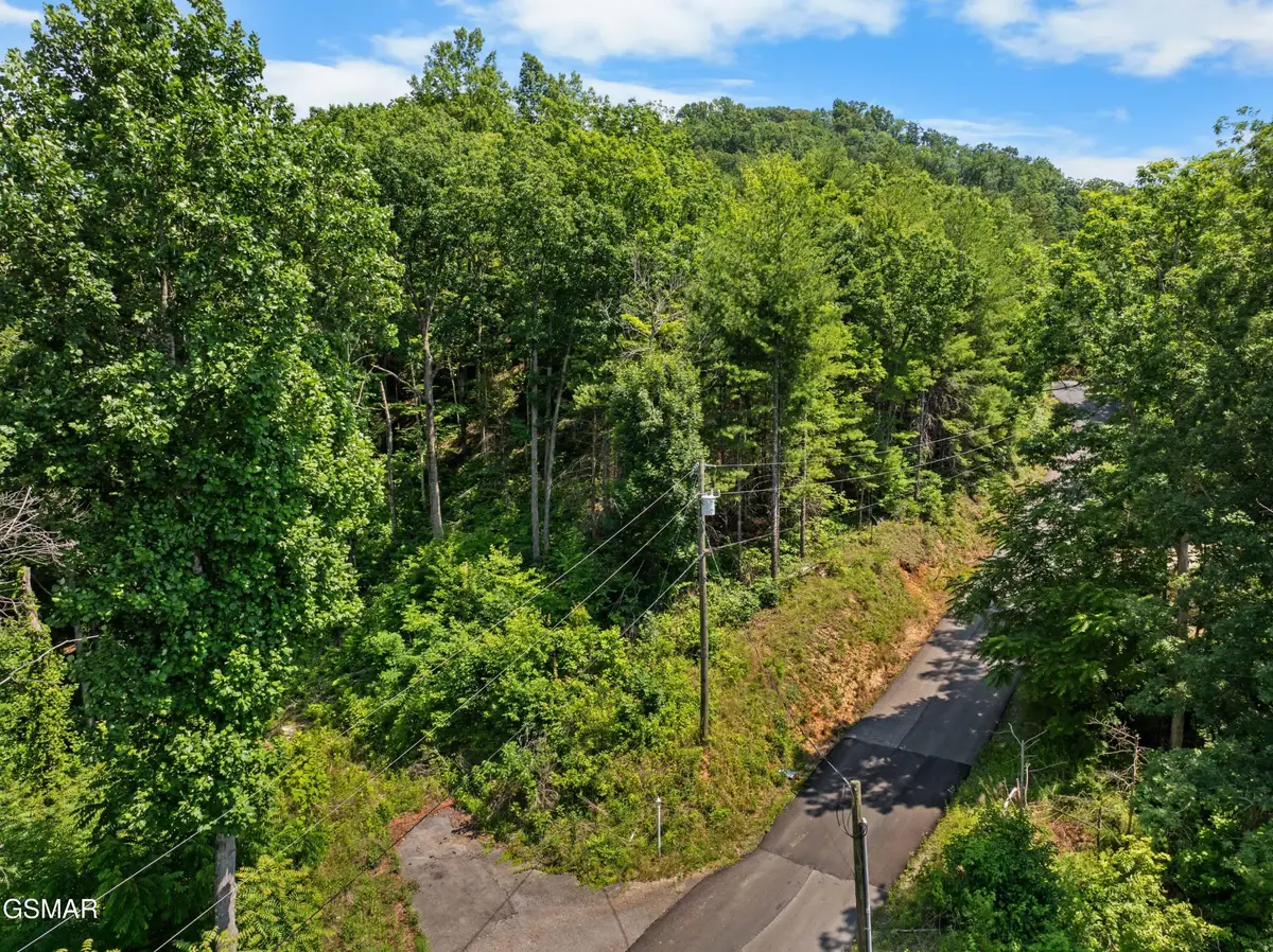 3276 Emerald Springs Loop, Sevierville, TN 37862 - #1