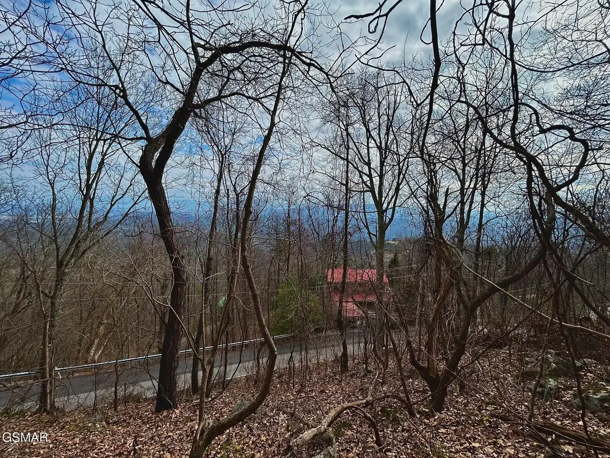 2373 Bluff Mountain Rd Road, Sevierville, TN 37876 - #1