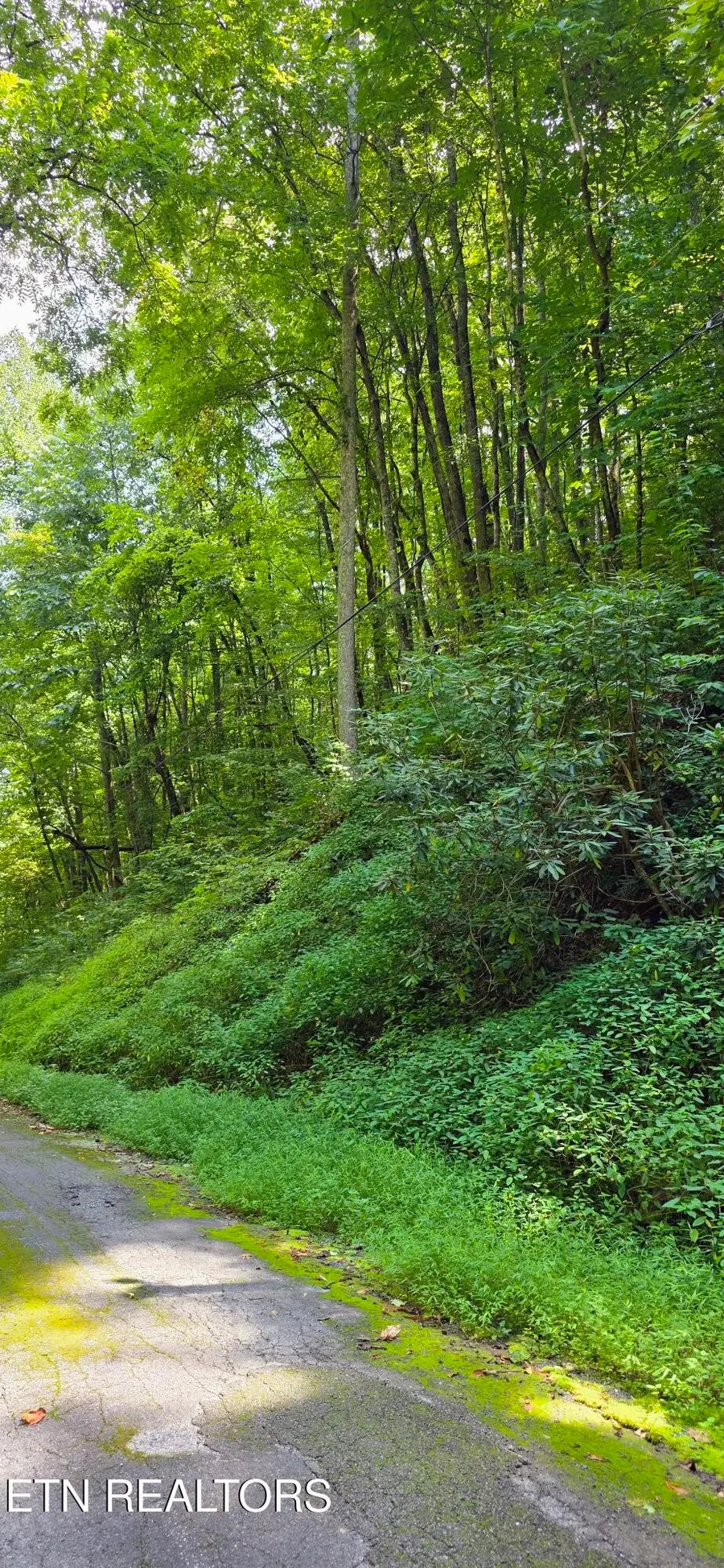 28 Black Walnut Flats Rd, Sevierville, TN 37862 - #2