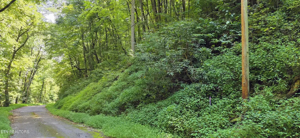 29 Black Walnut Flats Rd, Sevierville, TN 37862 - #1