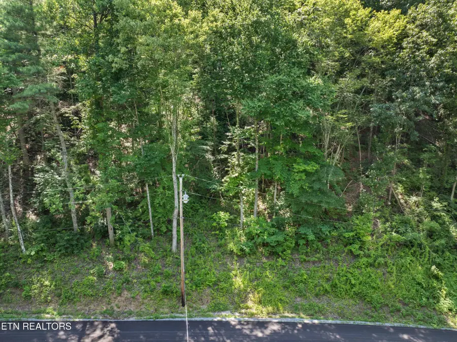 0 Emerald Springs Loop, Sevierville, TN 37862 - #2