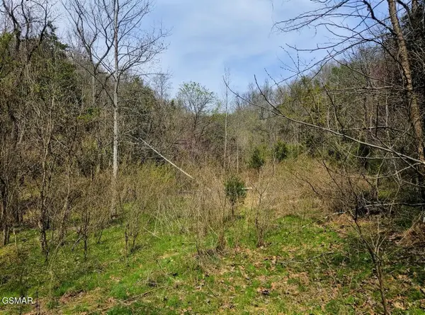 0 Mcamis Hollow Road, Newport, TN 37821