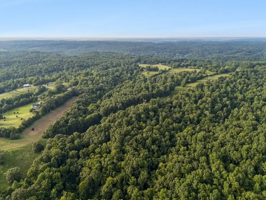 4 Shiloh Canaan Road, Palmyra, TN 37142 - #3