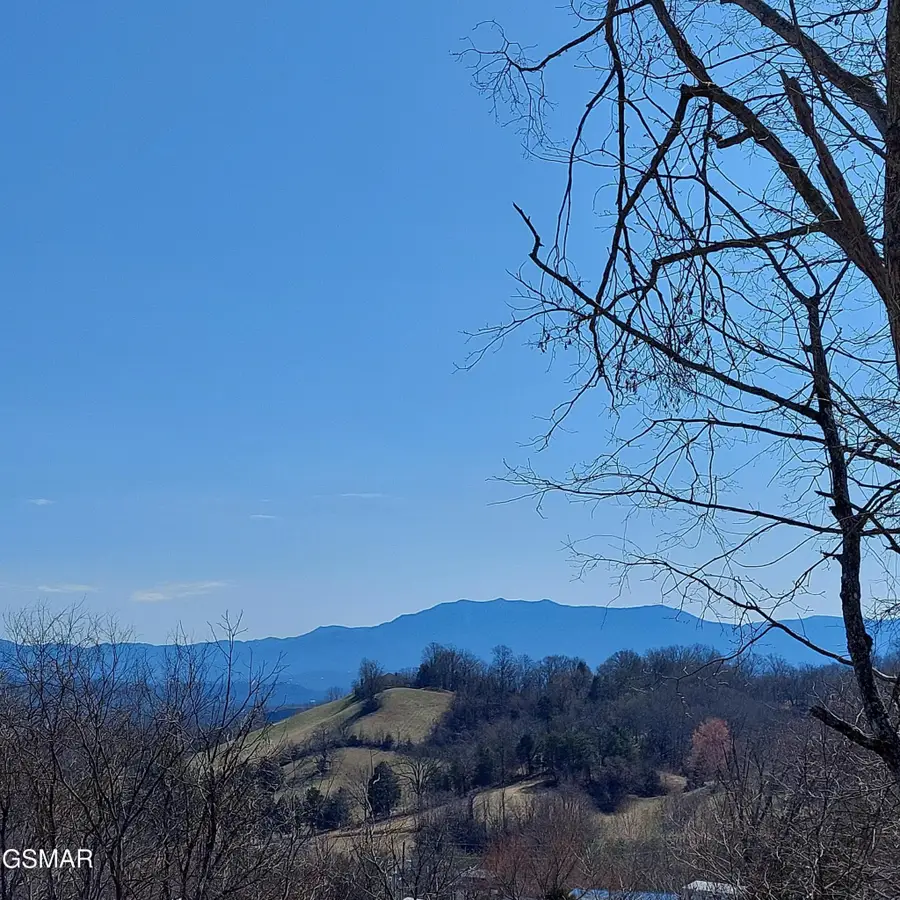 405 Maggie Mack Lane, Sevierville, TN 37862 - #2